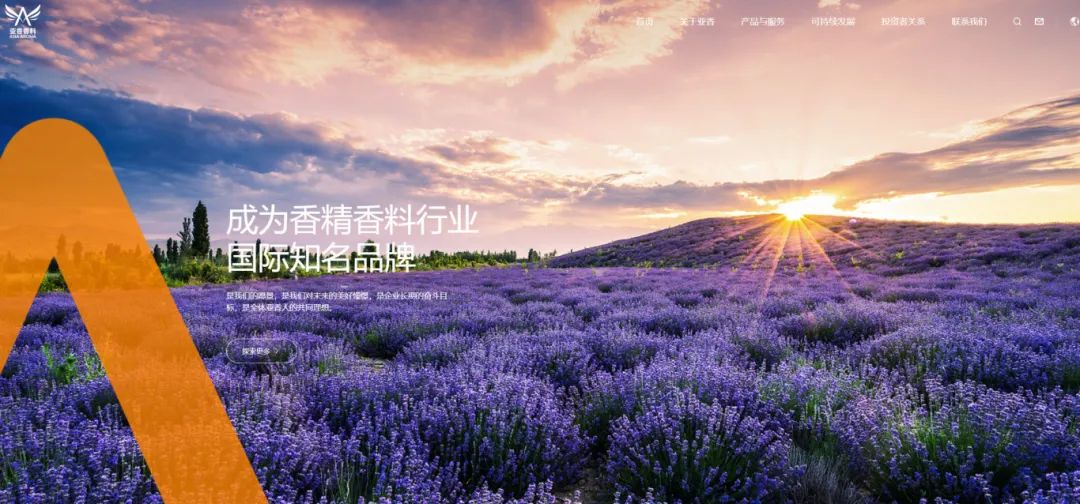 周热点:欧莱雅关联基金首投国货底妆FIRST COVER;Coty将全球范围裁员5%;多个电商平台将全面取消仅退款 |美妆风向标