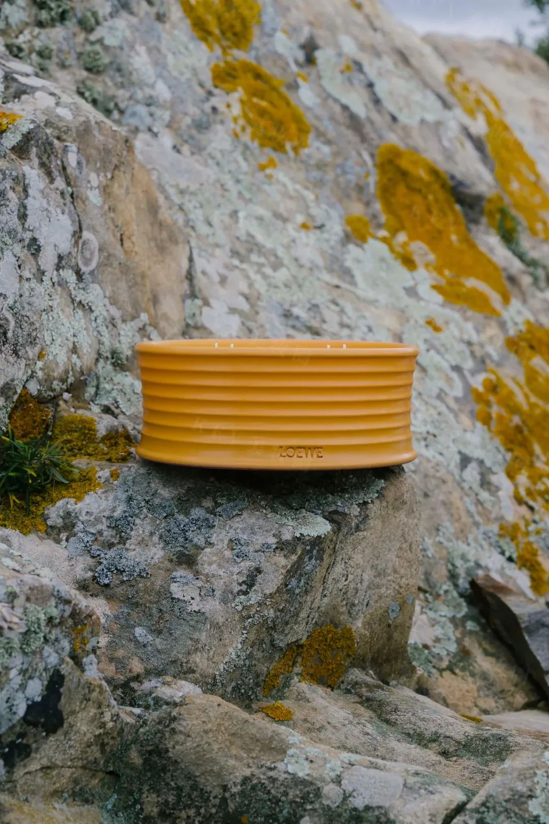 美妆圈一周新品:HBN发光精华;雅诗兰黛DW持妆遮瑕;三式臻禅龙井ZEN TEA系列;白惜速醒鼻吸口喷... | 新品速递