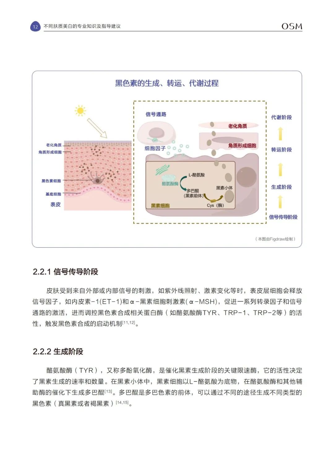 功效护肤新趋势,揭秘消费者买单的背后逻辑 | 报告导读【护肤合集】