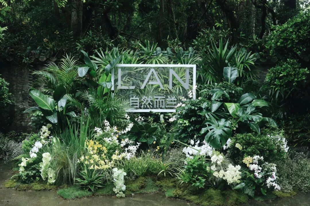 「LAN兰」携手深圳兰科中心,赴兰花溯源之旅
