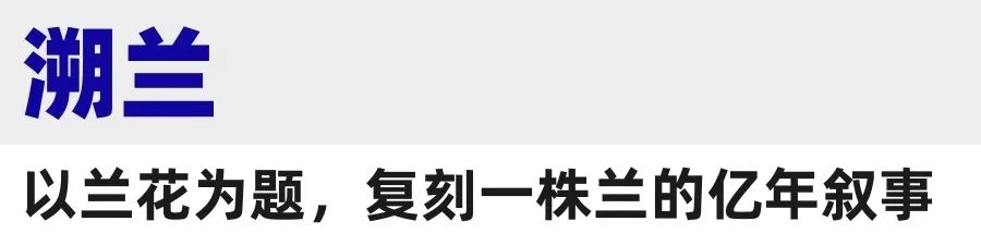 「LAN兰」携手深圳兰科中心,赴兰花溯源之旅