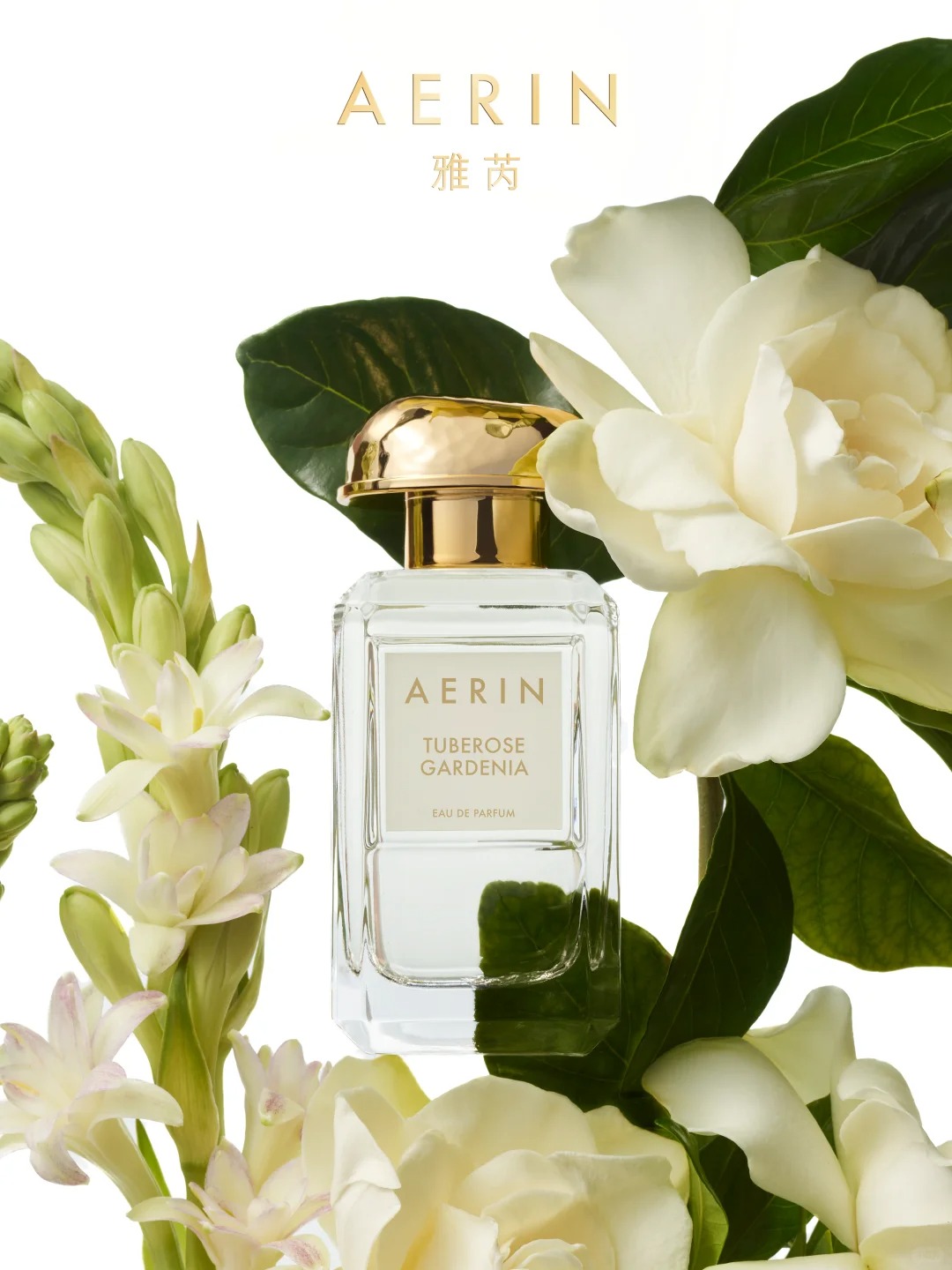 美妆圈一周新品:丝塔芙超修精华霜;欧珀莱澄净清盈卸妆膏&澄净深澈卸妆油;卡姿兰猫猫防晒隔离... | 新品速递