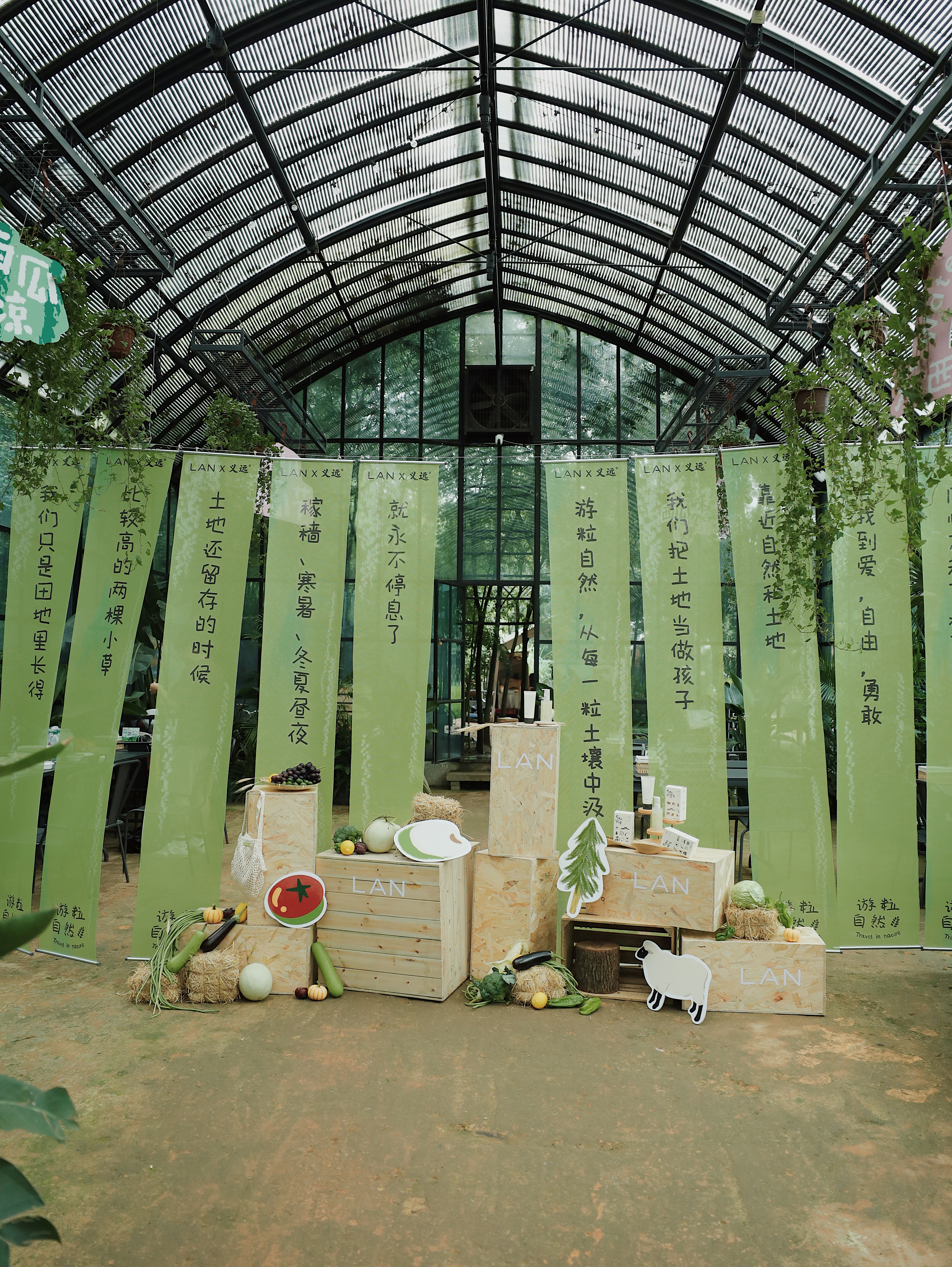 时间开出的花｜「LAN兰」与它寂静深耕的六载